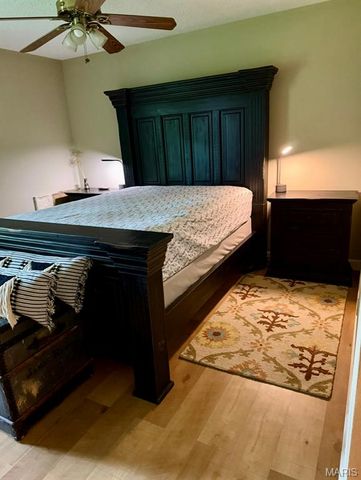 22 Shadow Creek Drive, St Peters, MO 63376