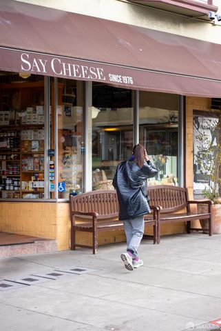 169 Parnassus Avenue, San Francisco, CA 94117