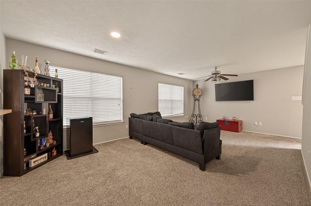 14311 Brunswick Point Lane, Houston, TX 77047