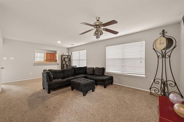 14311 Brunswick Point Lane, Houston, TX 77047