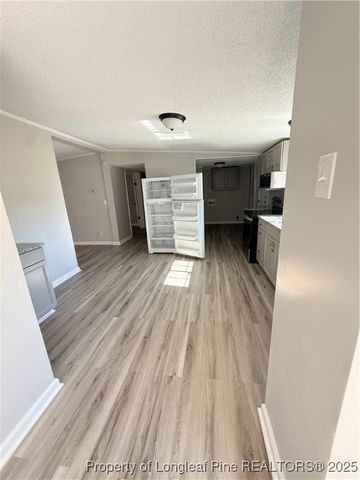 8528 Candlebrush Drive, Linden, NC 28356