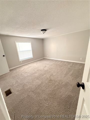 8528 Candlebrush Drive, Linden, NC 28356