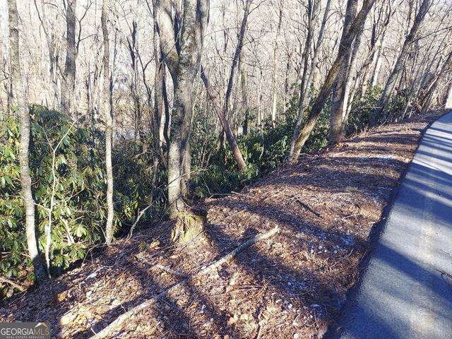 0 LOT 41 Rebel Circle, Sky Valley, GA 30537