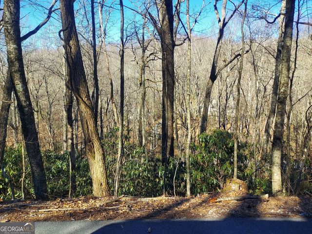 0 LOT 41 Rebel Circle, Sky Valley, GA 30537