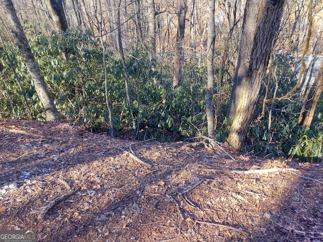 0 LOT 41 Rebel Circle, Sky Valley, GA 30537