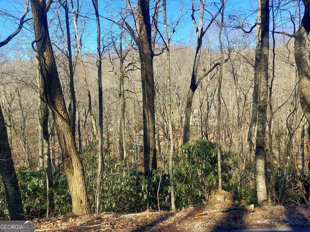 0 LOT 41 Rebel Circle, Sky Valley, GA 30537