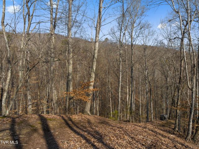 336 Cloud Creek Road, Rogersville, TN 37857