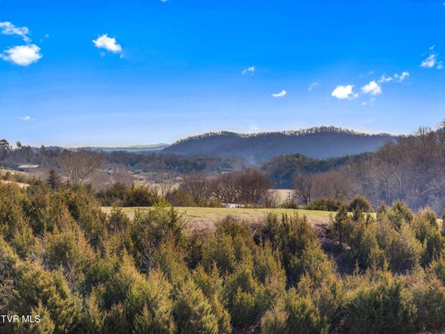 336 Cloud Creek Road, Rogersville, TN 37857