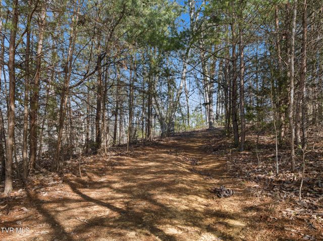 336 Cloud Creek Road, Rogersville, TN 37857