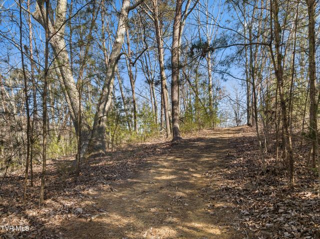 336 Cloud Creek Road, Rogersville, TN 37857