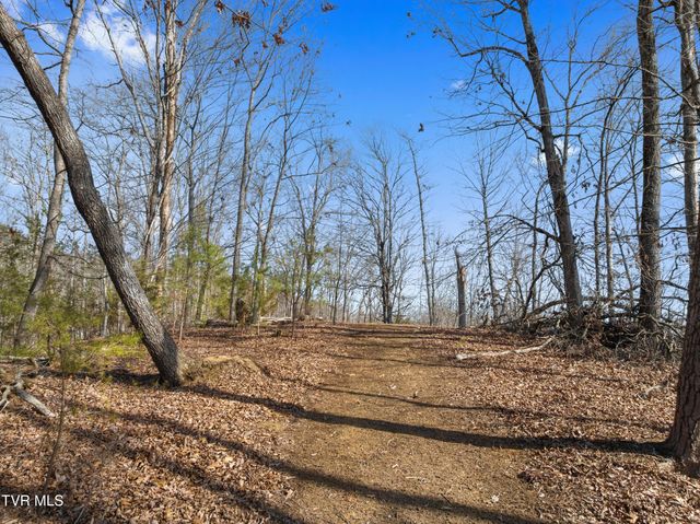 336 Cloud Creek Road, Rogersville, TN 37857