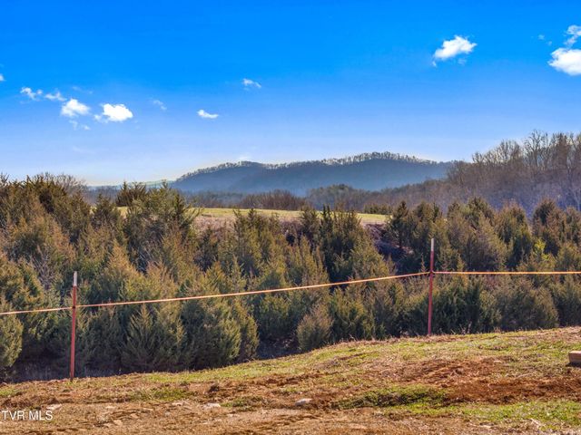 336 Cloud Creek Road, Rogersville, TN 37857