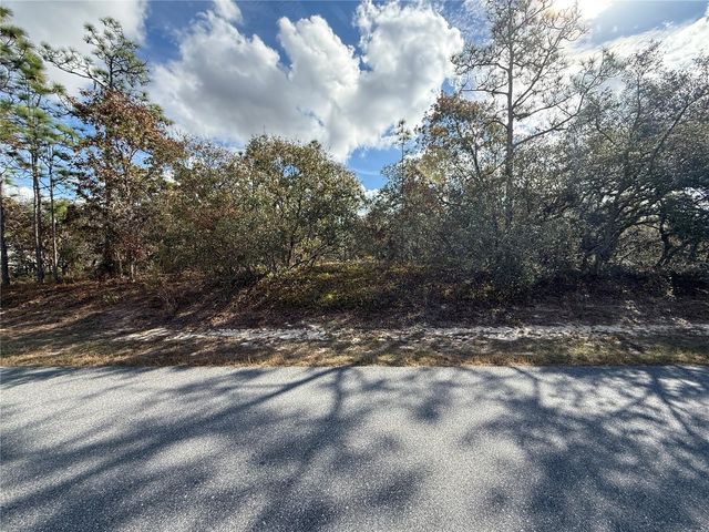 220 LINDER DRIVE, Homosassa, FL 34446
