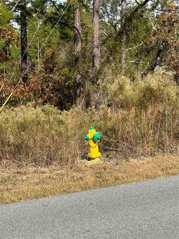 220 LINDER DRIVE, Homosassa, FL 34446