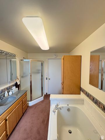 692 S 300 W, Mt Pleasant, UT 84647