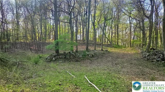 4825 South Mountain Drive, Upper Milford Twp, PA 18049