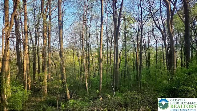 4825 South Mountain Drive, Upper Milford Twp, PA 18049