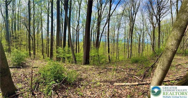4825 South Mountain Drive, Upper Milford Twp, PA 18049