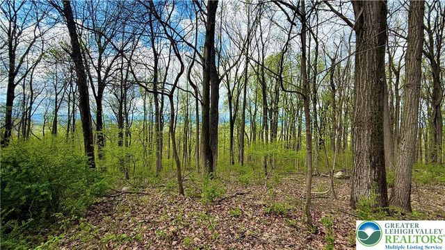 4825 South Mountain Drive, Upper Milford Twp, PA 18049
