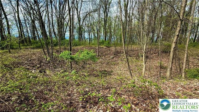 4825 South Mountain Drive, Upper Milford Twp, PA 18049