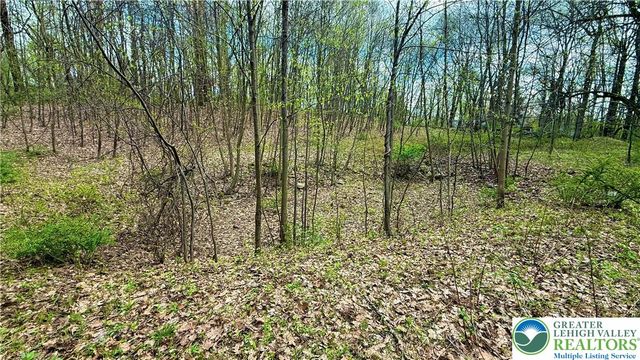 4825 South Mountain Drive, Upper Milford Twp, PA 18049