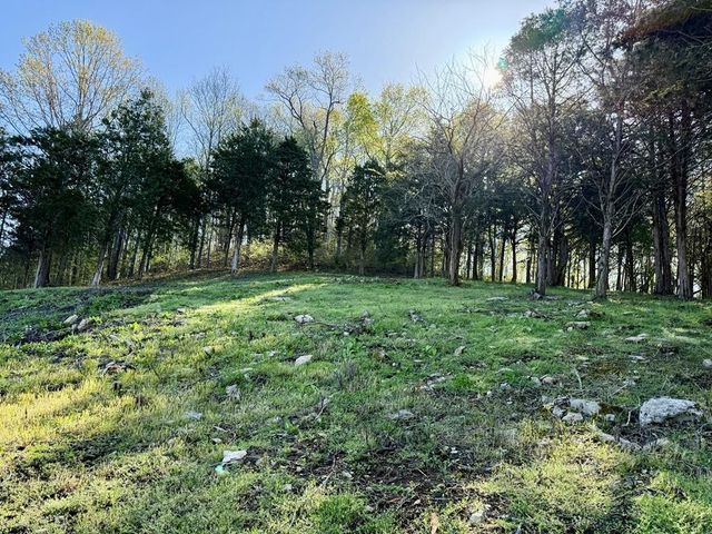84 Harbor Pointe Drive, Silver Point, TN 38582