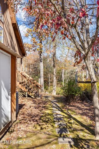 3267 Cosby Creek Rd, Cosby, TN 37722