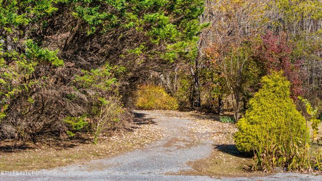 3267 Cosby Creek Rd, Cosby, TN 37722