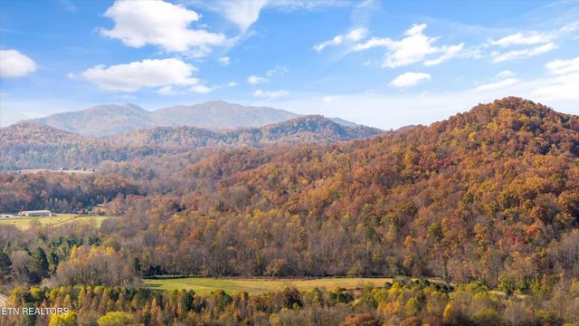 3267 Cosby Creek Rd, Cosby, TN 37722