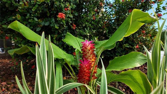 10080 Stonewood DR, Fort Myers, FL 33905