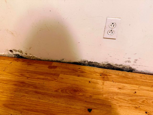 10750 16 Mile Road NE, Cedar Springs, MI 49319