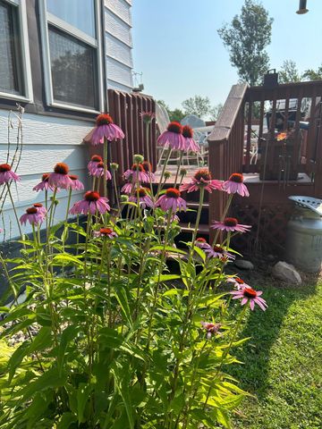 7005 County Road 82 SE, Alexandria, MN 56308