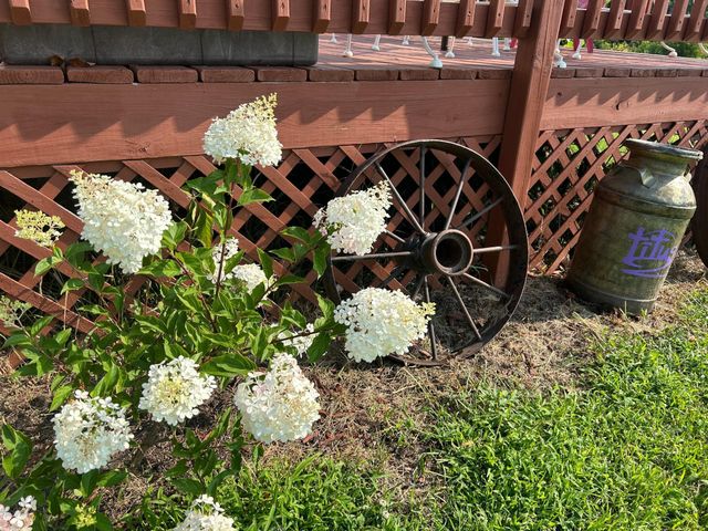 7005 County Road 82 SE, Alexandria, MN 56308