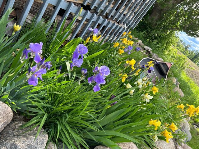 7005 County Road 82 SE, Alexandria, MN 56308