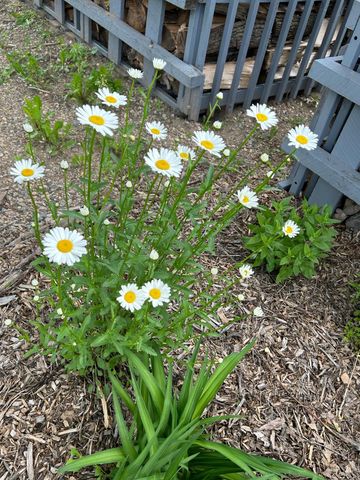 7005 County Road 82 SE, Alexandria, MN 56308