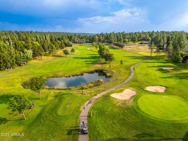 2922 N Rio De Flag Drive, Flagstaff, AZ 86004