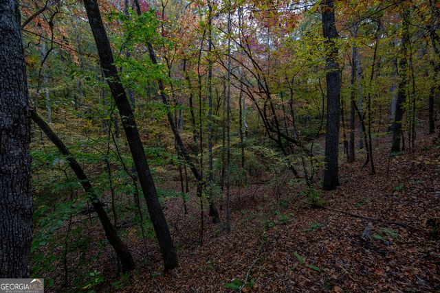 0 Bullock Bridge Road TRACT 2, Monroe, GA 30656