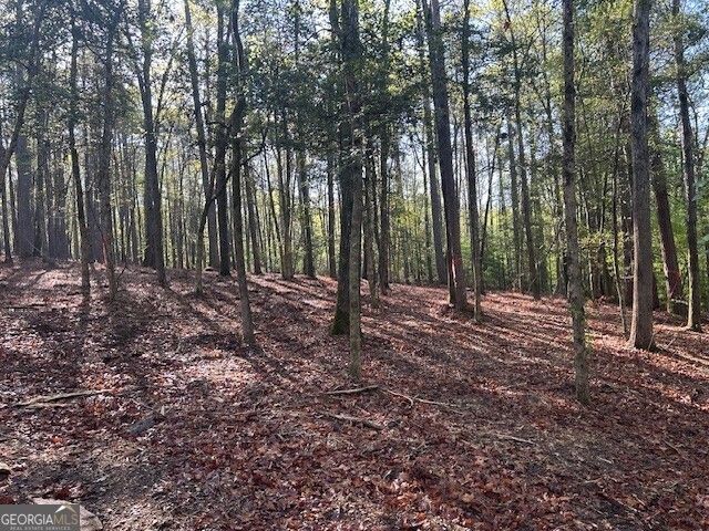 0 Bullock Bridge Road TRACT 2, Monroe, GA 30656