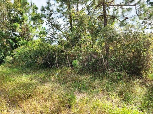 916 Ashley Oaks DR, Lehigh Acres, FL 33974