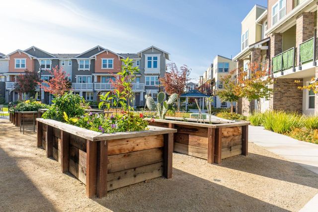 535 San Lorenzo Terrace 1, Sunnyvale, CA 94085