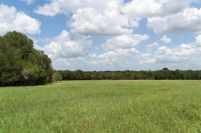 TBD St Delight (Tract 4) RD, Paige, TX 78659
