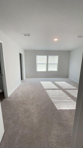 703 Willow Bark Court, Summerville, SC 29486