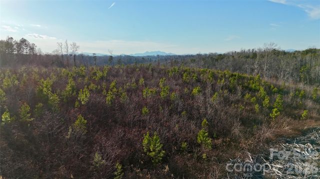 0 Brady Hampton Drive, Rutherfordton, NC 28139