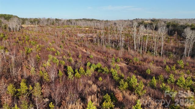 0 Brady Hampton Drive, Rutherfordton, NC 28139