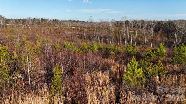 0 Brady Hampton Drive, Rutherfordton, NC 28139