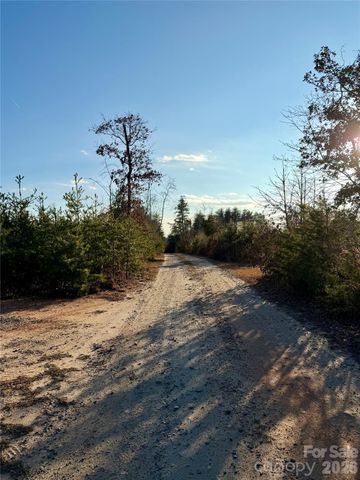 0 Brady Hampton Drive, Rutherfordton, NC 28139