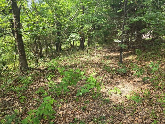 TBD Witherby Drive, Bella Vista, AR 72714