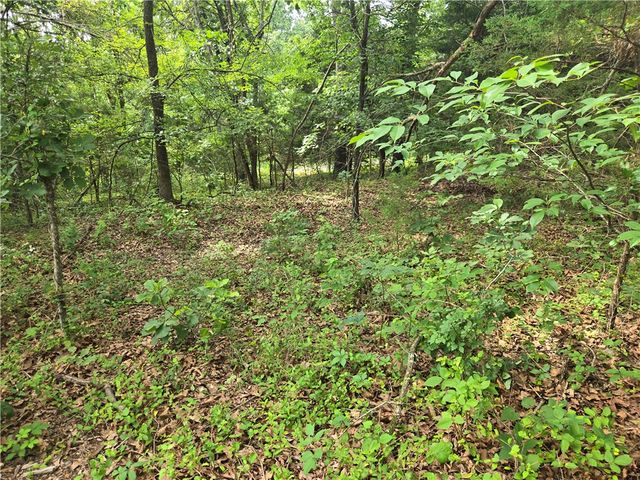 TBD Witherby Drive, Bella Vista, AR 72714