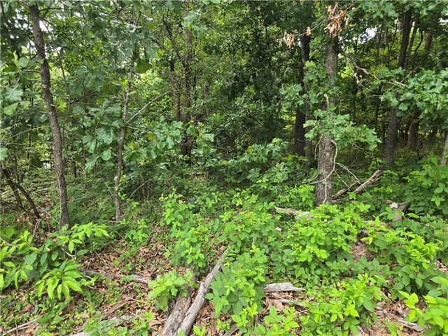 TBD Witherby Drive, Bella Vista, AR 72714