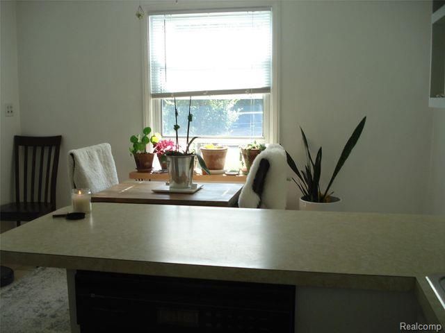 121 Catalpa Drive, Birmingham, MI 48009